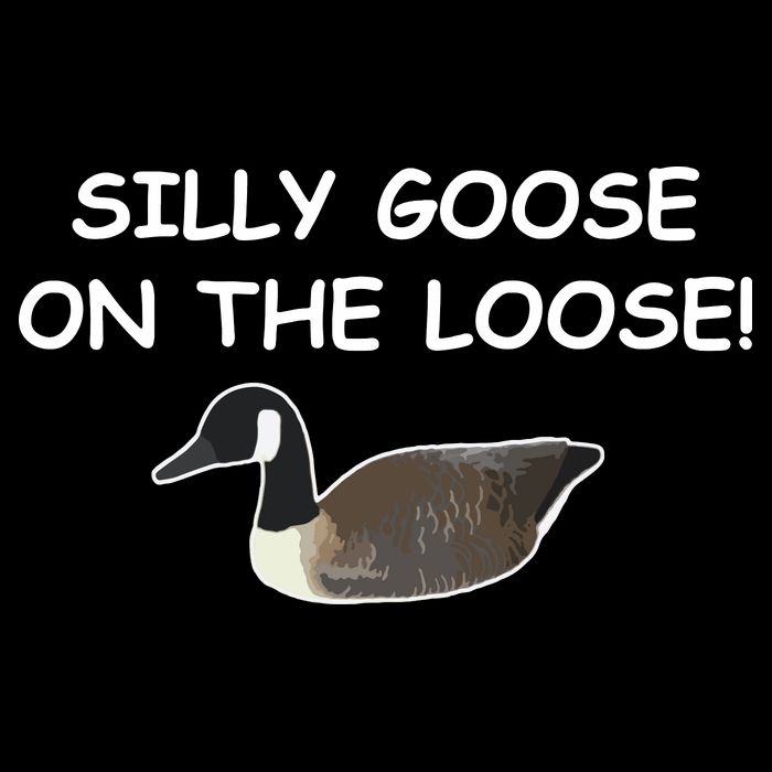 Funny Meme Silly Goose On The Loose Joke Hoodie