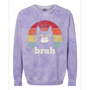 Funny Meme Saying Bruh With Cat Greetings Ns Colorblast Crewneck Sweatshirt