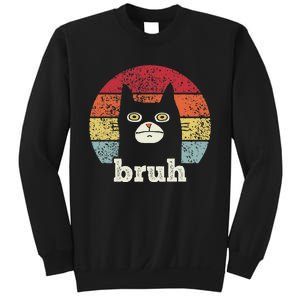 Funny Meme Saying Bruh With Cat Greetings Ns Sweatshirt