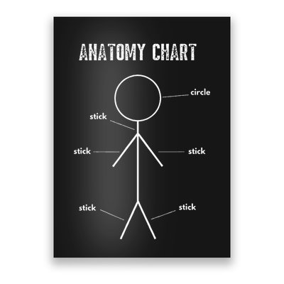 Funny Medical Student Gift Sarcastic Anatomy Of Stickman Poster