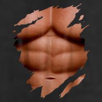 Fake Muscles Six Pack Abs Ripped Chest Fake Bodybuilding 7 Panel Mesh Trucker Snapback Hat