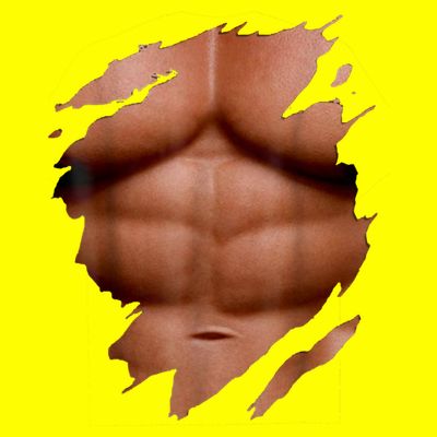 Fake Muscles Six Pack Abs Ripped Chest Fake Bodybuilding T-Shirt