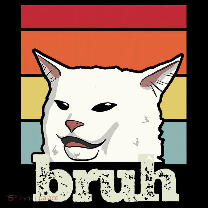 Funny Meme Saying Bruh With Cat Greetings Ns 16 in Basic Backpack
