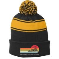 Ferroequinologist Model Train Enthusiast Railroading Railfan Stripe Pom Pom Beanie
