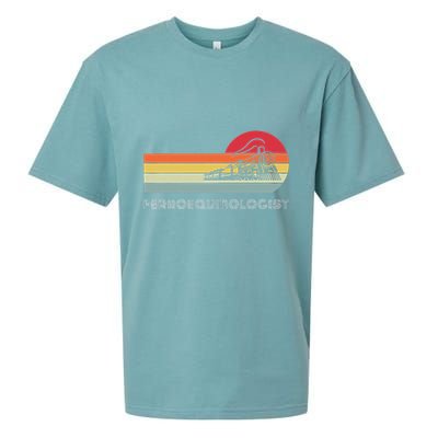 Ferroequinologist Model Train Enthusiast Railroading Railfan Sueded Cloud Jersey T-Shirt