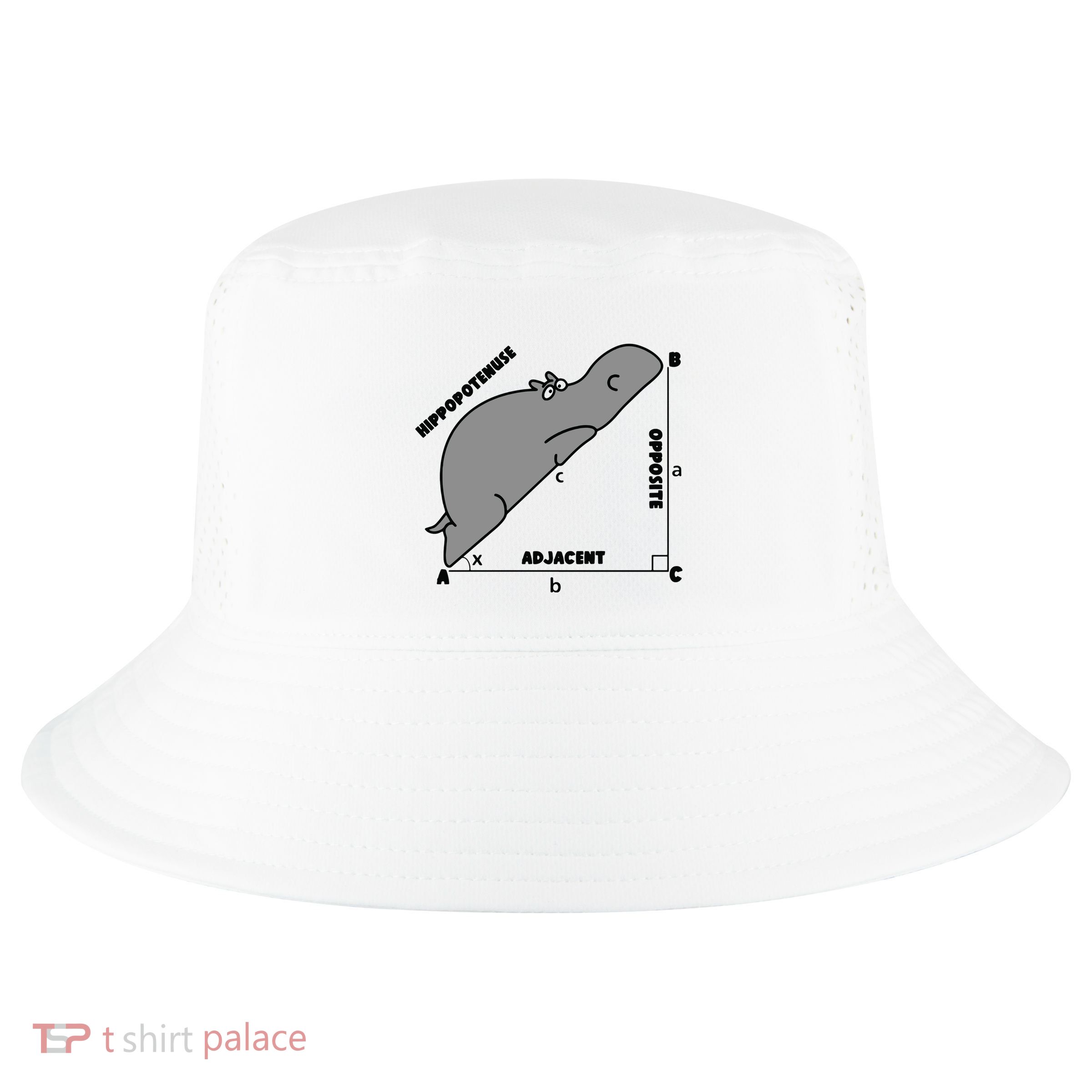 Funny Math Teacher Humorous Math Lover Gift Cool Comfort Performance Bucket Hat