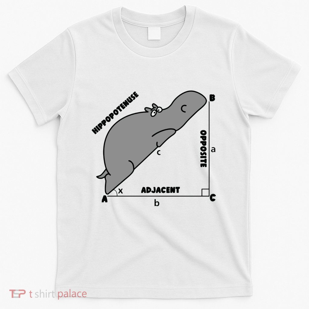 Funny Math Teacher Humorous Math Lover Gift T-Shirt