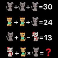 Funny Math Teacher Order Of Operations Quiz Cats Xmas 7-Panel Snapback Hat