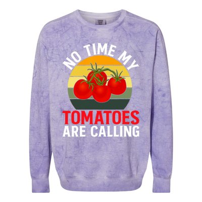 Funny My Tomato Calling Gardener Veggie Pun Tomatoes Foodie Colorblast Crewneck Sweatshirt