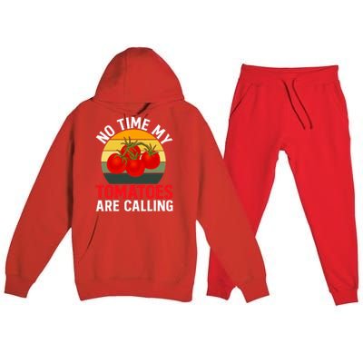 Funny My Tomato Calling Gardener Veggie Pun Tomatoes Foodie Premium Hooded Sweatsuit Set