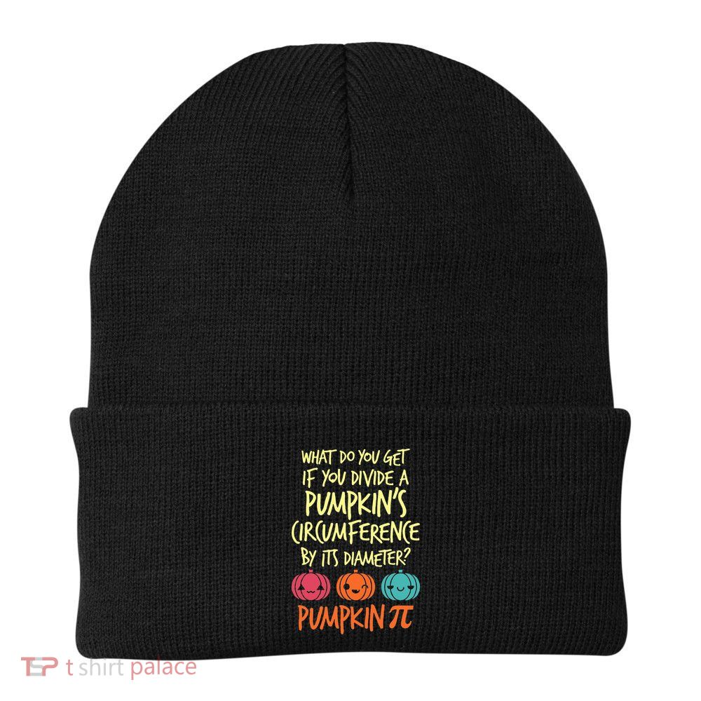 Funny Math Teacher Halloween Costume Pumpkin Pi Beanie