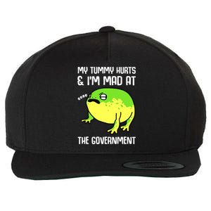 Funny My Tummy Hurts And Im Mad At The Government Frog Wool Snapback Cap