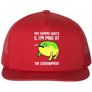 Funny My Tummy Hurts And Im Mad At The Government Frog Flat Bill Trucker Hat