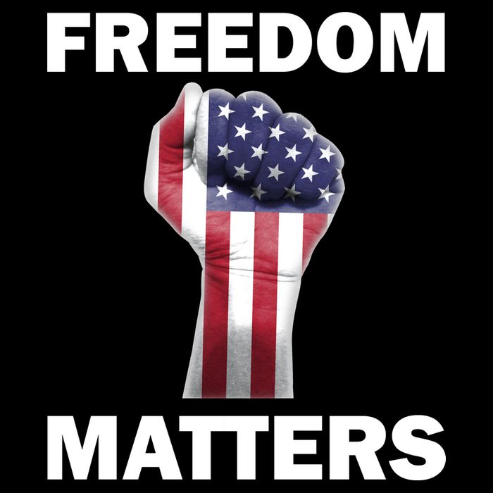Freedom Matters USA American Fist Premium T-Shirt