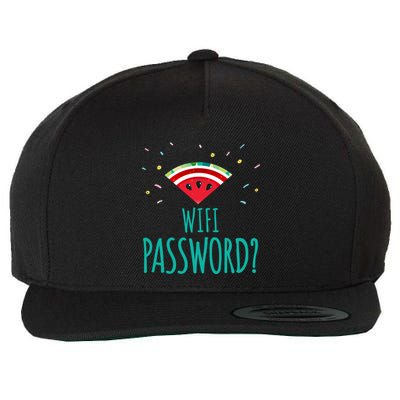 Funny Melon Wifi Password System Administrators Gift Wool Snapback Cap