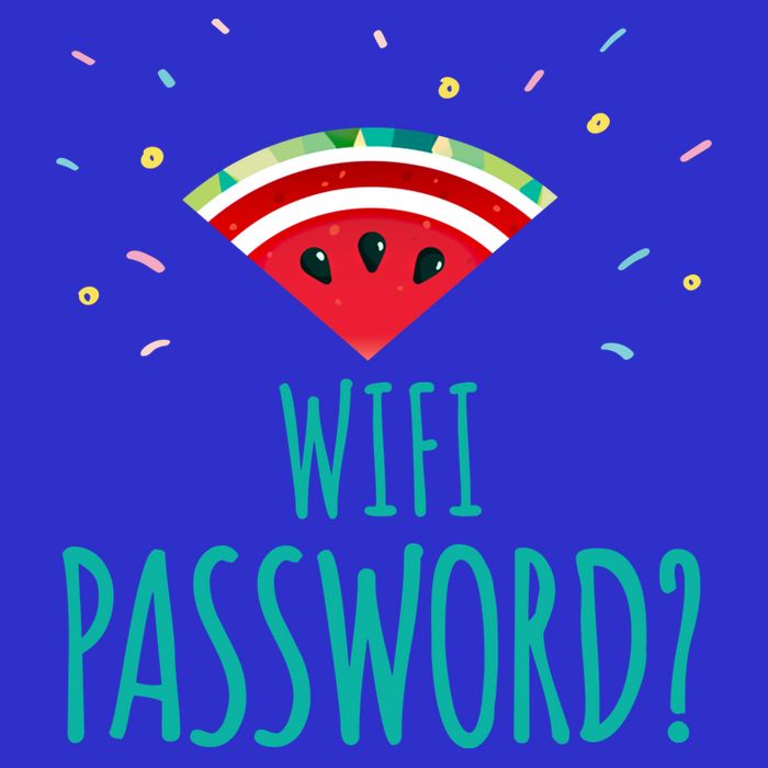 Funny Melon Wifi Password System Administrators Gift Button