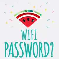Funny Melon Wifi Password System Administrators Gift Garment-Dyed Sweatshirt