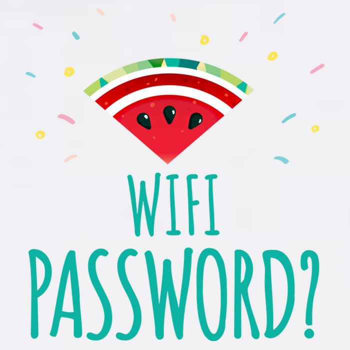 Funny Melon Wifi Password System Administrators Gift Garment-Dyed Sweatshirt