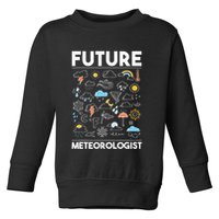 Future Meteorologist Weather Forecast Clouds Toddler Sweatshirt