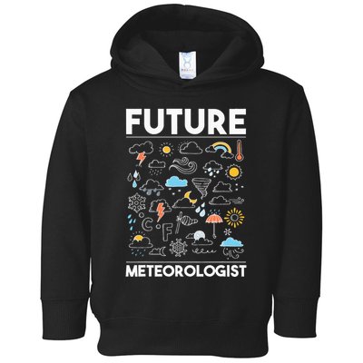 Future Meteorologist Weather Forecast Clouds Toddler Hoodie