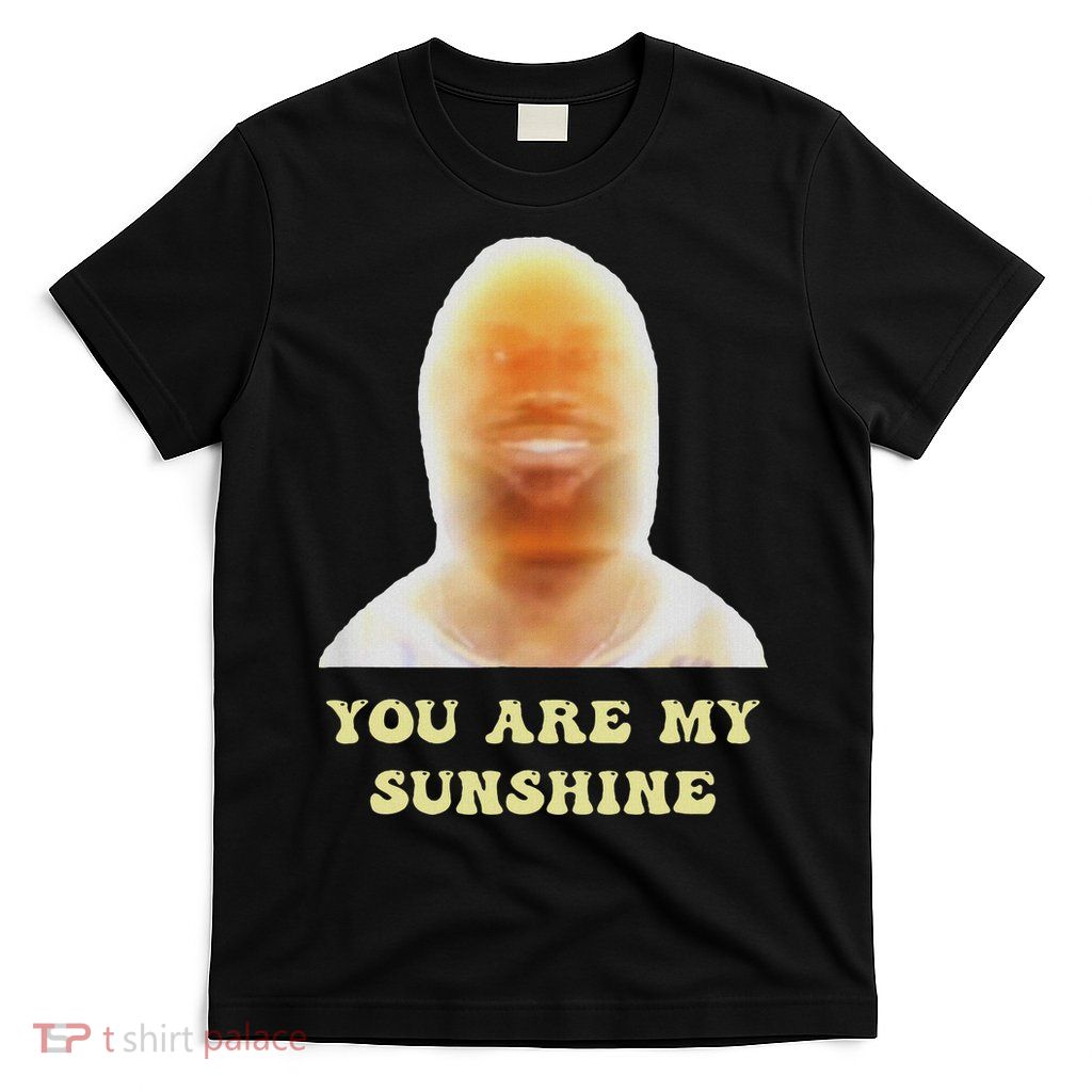 Funny Meme You Are My Sunshine Funny Joke For And Women T-Shirt