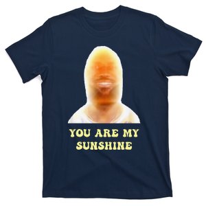 Funny Meme You Are My Sunshine Funny Joke T-Shirt