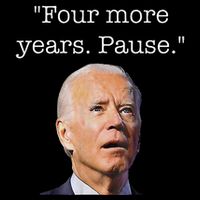 Four More Years Pause Biden Wool Snapback Cap