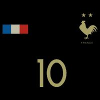 France Number 10 French Soccer Retro Football France Impact Tech Backpack