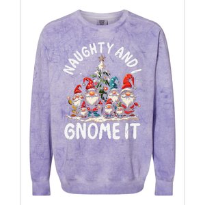 Funny Naughty And I Gnome Christmas Holiday Xmas Pun Colorblast Crewneck Sweatshirt