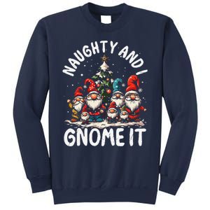 Funny Naughty And I Gnome Christmas Holiday Xmas Pun Sweatshirt