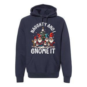 Funny Naughty And I Gnome Christmas Holiday Xmas Pun Premium Hoodie