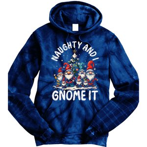 Funny Naughty And I Gnome Christmas Holiday Xmas Pun Tie Dye Hoodie