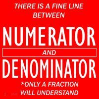 Funny Numerator And Denominator Math Fraction Poster