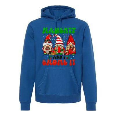 Funny Naughty And I Gnome It Christmas Gnomies Family Xmas Gift Premium Hoodie