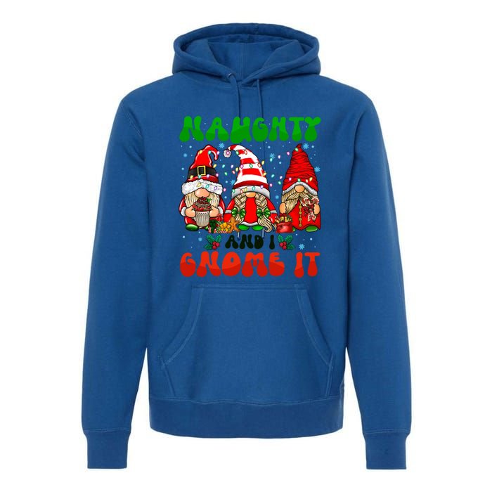 Funny Naughty And I Gnome It Christmas Gnomies Family Xmas Gift Premium Hoodie