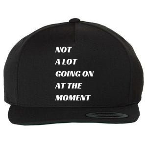 Funny Not A Lot Going On At The Moment Wool Snapback Cap