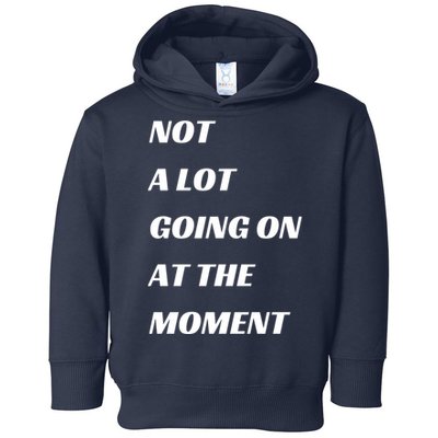 Funny Not A Lot Going On At The Moment Toddler Hoodie