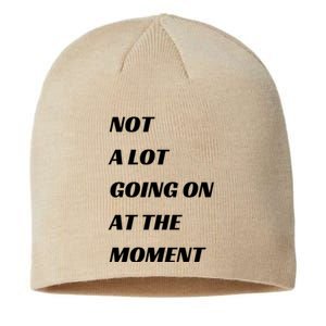 Funny Not A Lot Going On At The Moment Sustainable Beanie