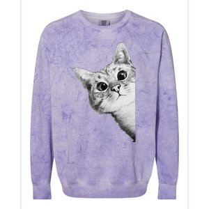 Funny Ninja Cat Meme Gift Colorblast Crewneck Sweatshirt