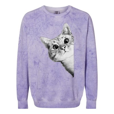 Funny Ninja Cat Meme Gift Colorblast Crewneck Sweatshirt