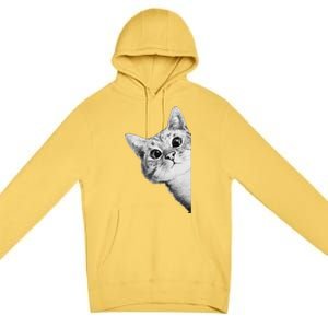 Funny Ninja Cat Meme Gift Premium Pullover Hoodie