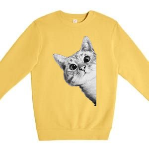 Funny Ninja Cat Meme Gift Premium Crewneck Sweatshirt