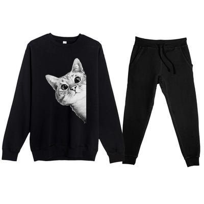 Funny Ninja Cat Meme Gift Premium Crewneck Sweatsuit Set