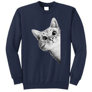 Funny Ninja Cat Meme Gift Sweatshirt