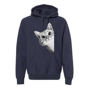 Funny Ninja Cat Meme Gift Premium Hoodie