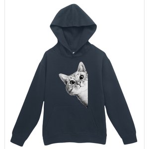 Funny Ninja Cat Meme Gift Urban Pullover Hoodie