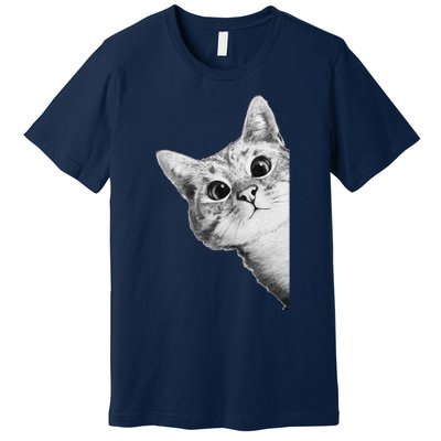 Funny Ninja Cat Meme Gift Premium T-Shirt