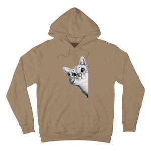 Funny Ninja Cat Meme Gift Hoodie