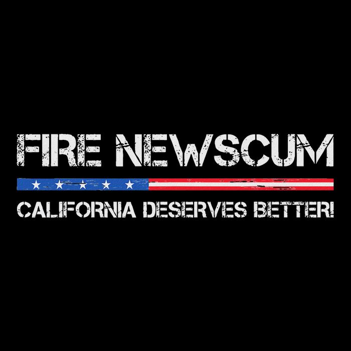 Fire Newscum California Deserves Better Gavin Newsom Sustainable Bucket Hat