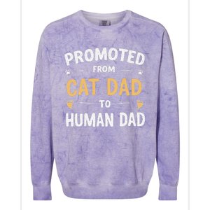 Funny New Daddy Cat Lover Promoted From Cat Dad To Human Dad Colorblast Crewneck Sweatshirt